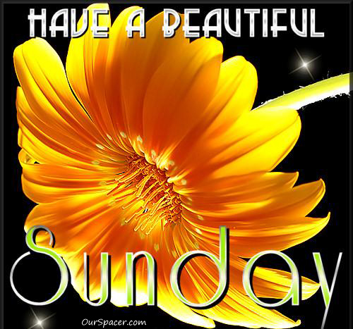 Have a beautiful Sunday sunflower myspace, friendster, facebook, and hi5 comment graphics