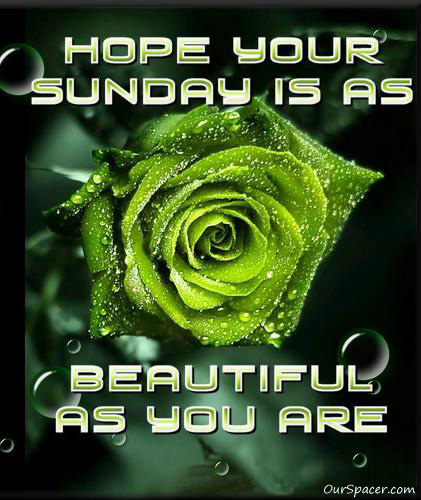Hope your Sunday is as beautiful as you are myspace, friendster, facebook, and hi5 comment graphics