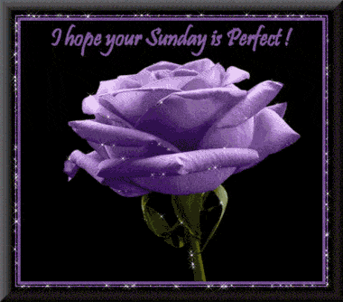 I hope your Sunday is Perfect myspace, friendster, facebook, and hi5 comment graphics